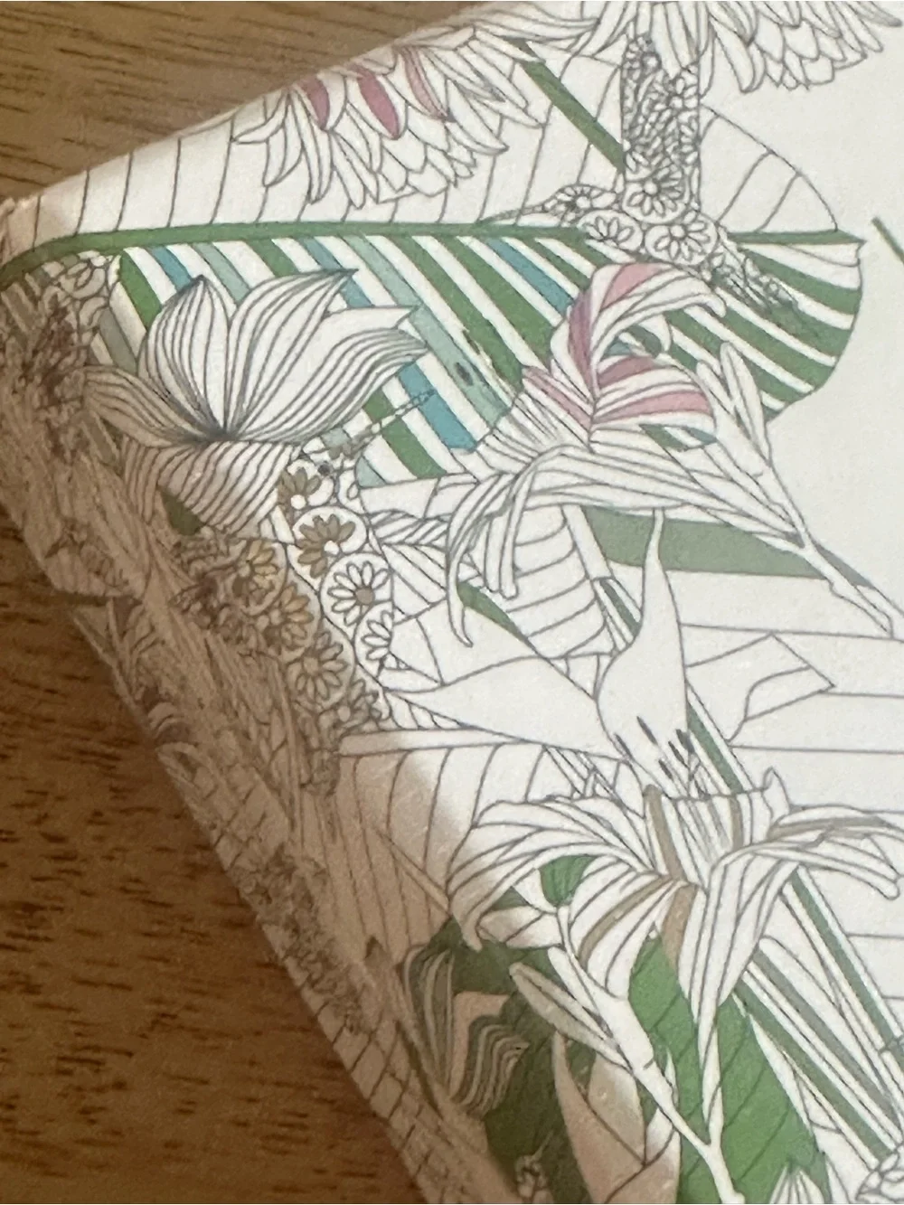 Hidden Jungle 12 Notecard Botanical stationary set w envelopes lark New York